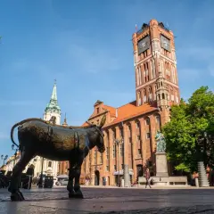 Pomnik osiołka na Rynku Staromiejskim w Toruniu przed Ratuszem Staromiejskim.
