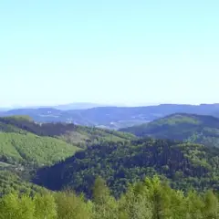 Co ciekawego w Ustroniu? Odkryj niezwykłe atrakcje i miejsca