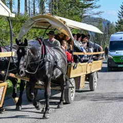 Konni zaprzężeni w konie wiozą turystów do Morskiego Oka. W tle widać zielony van.