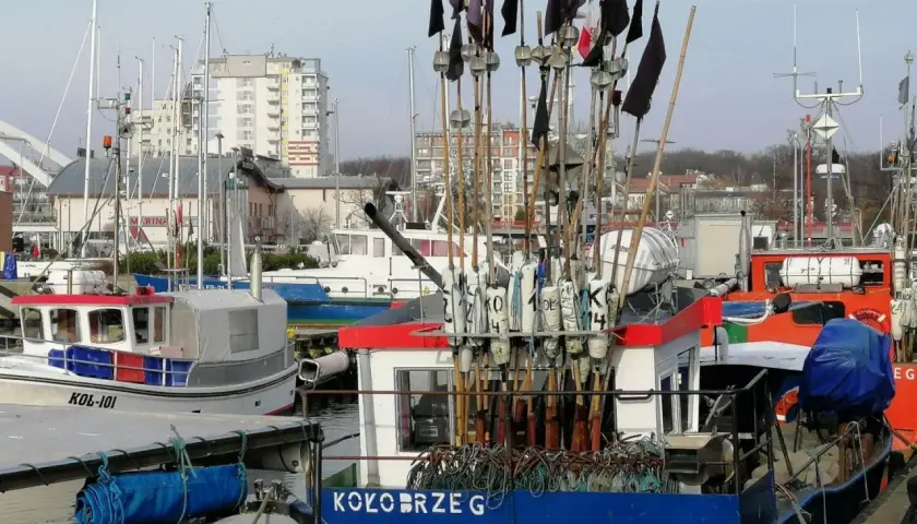 Gdzie kupić świeże ryby w Kołobrzegu? Sprawdź najlepsze miejsca