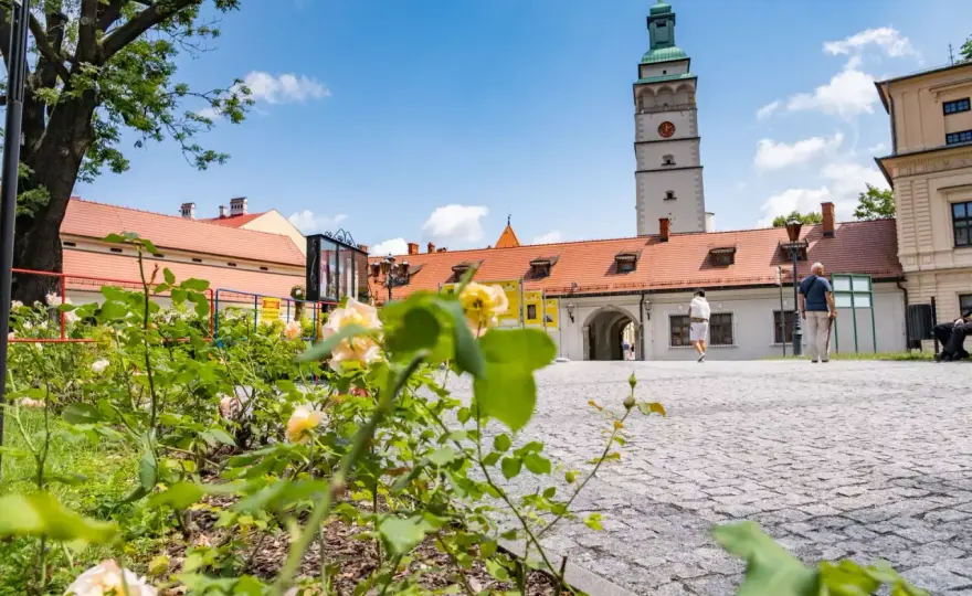 Żywiec - Gdzie zacząć wycieczkę? Przewodnik po najlepszych startach