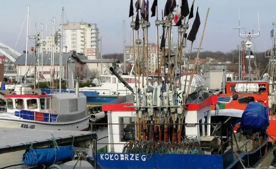Gdzie kupić świeże ryby w Kołobrzegu? Sprawdź najlepsze miejsca