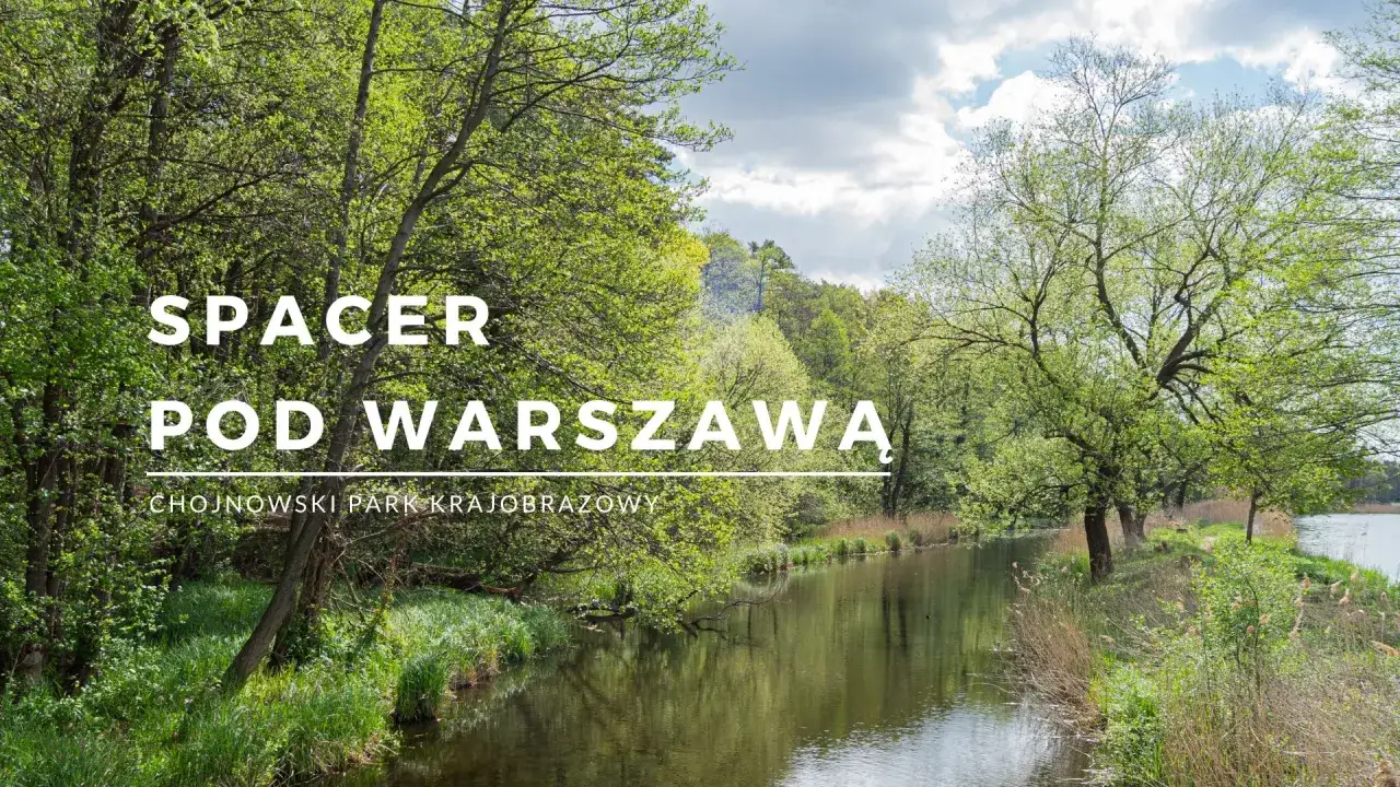 Zielony krajobraz nad rzeką, idealne miejsce na łazy pod Warszawą. Chojnowski Park Krajobrazowy zaprasza na spacer.