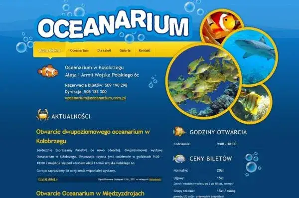 Zdjęcie Ile kosztuje bilet do oceanarium w Kołobrzegu? Ceny i zniżki